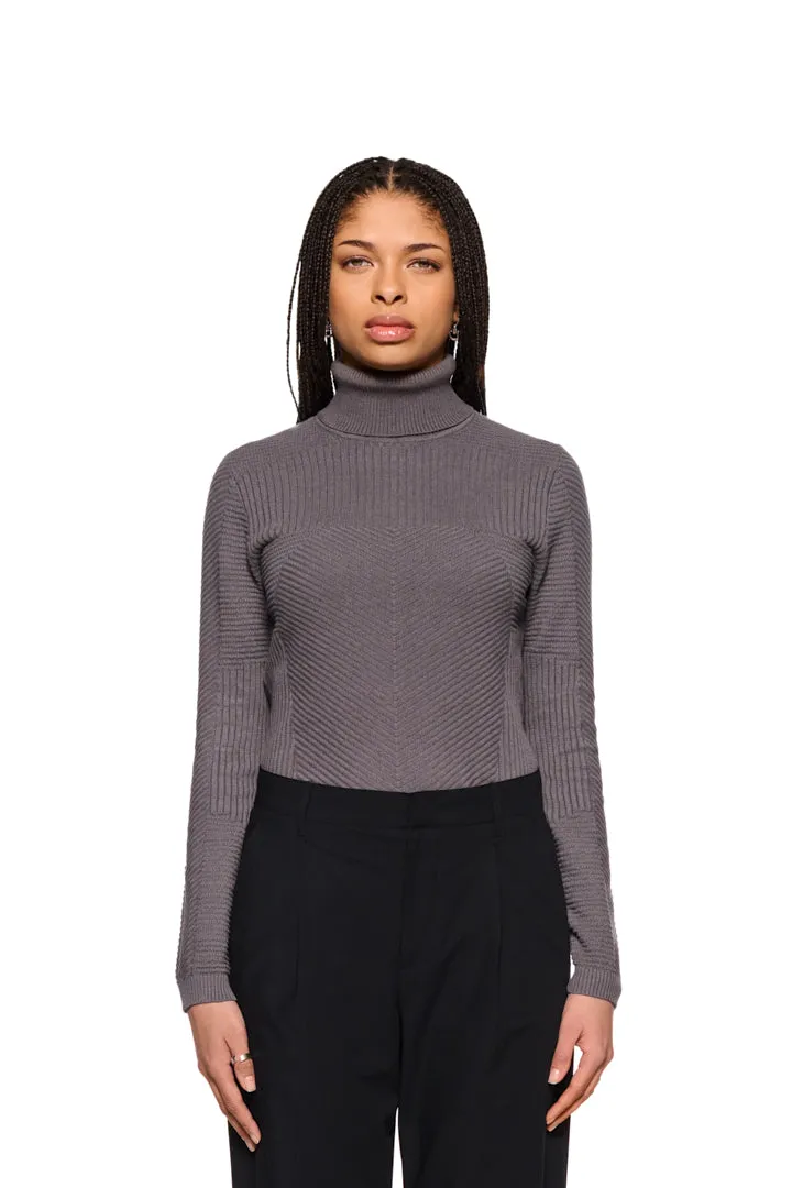 Anatomy Turtleneck Gray