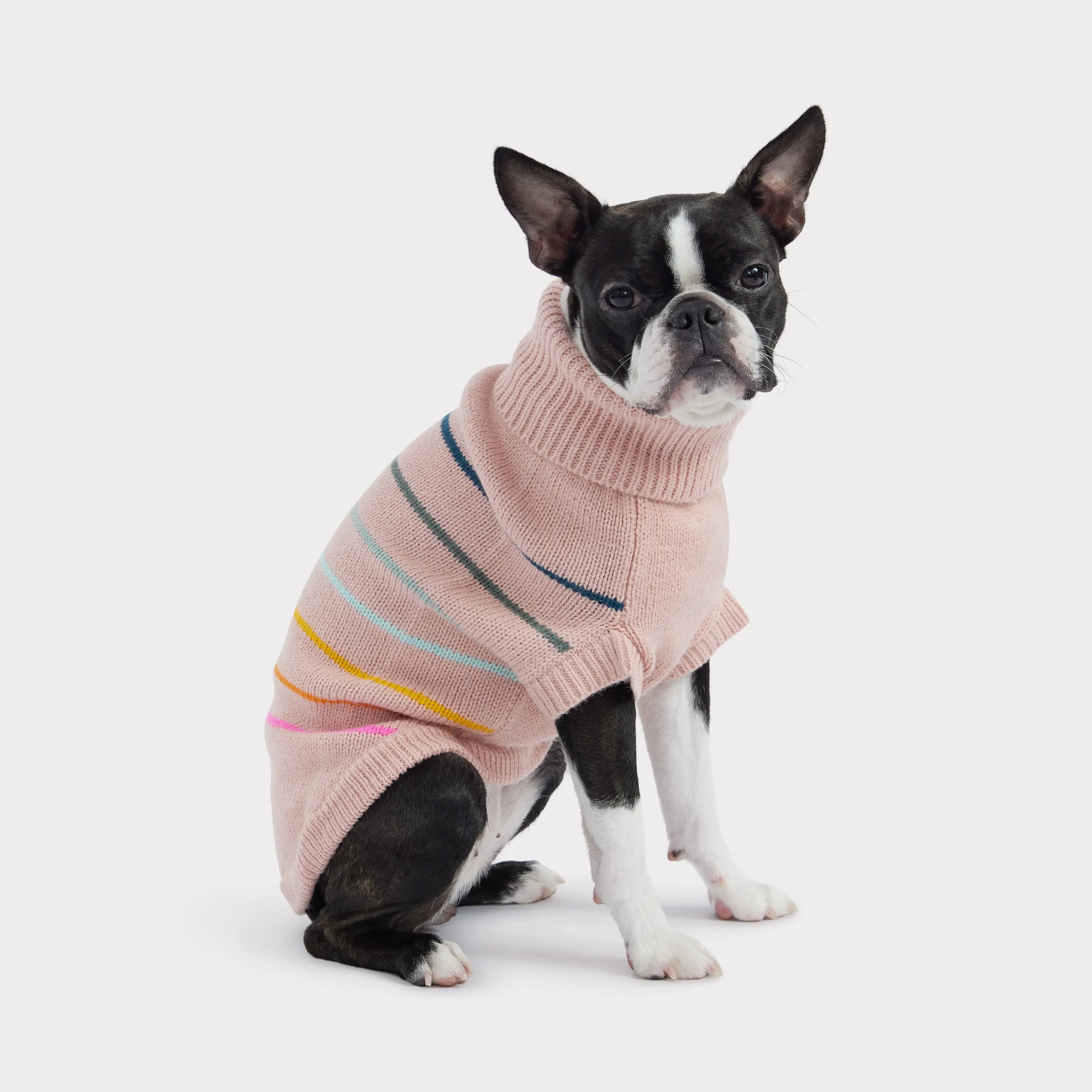 Arctic Dog Sweater | Pink