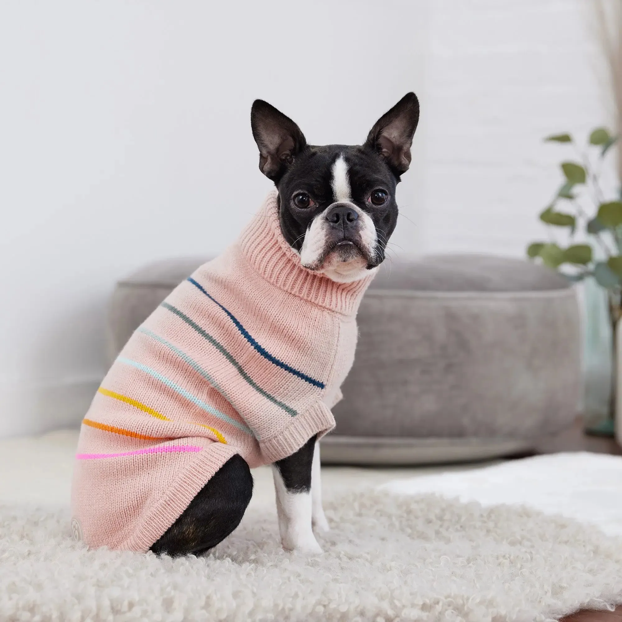 Arctic Dog Sweater | Pink