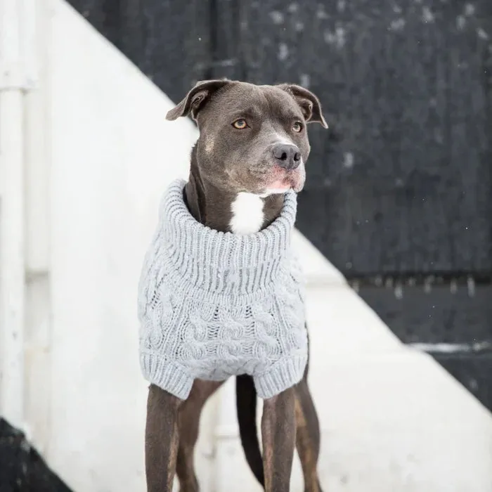 GF Pet Chalet Sweater