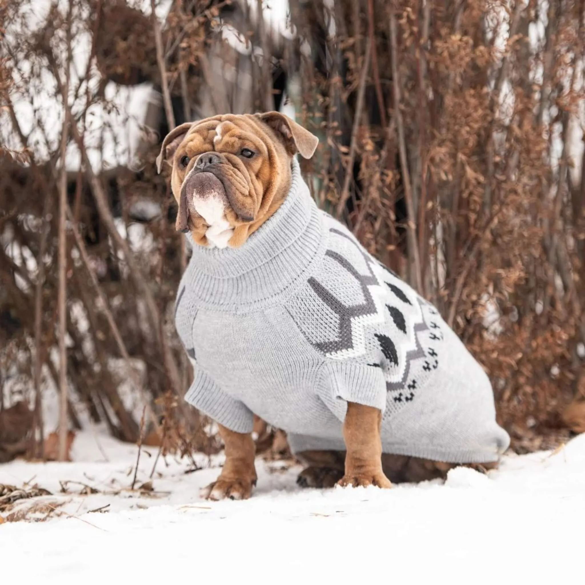 Heritage Turtleneck Dog Sweater - Grey Mix