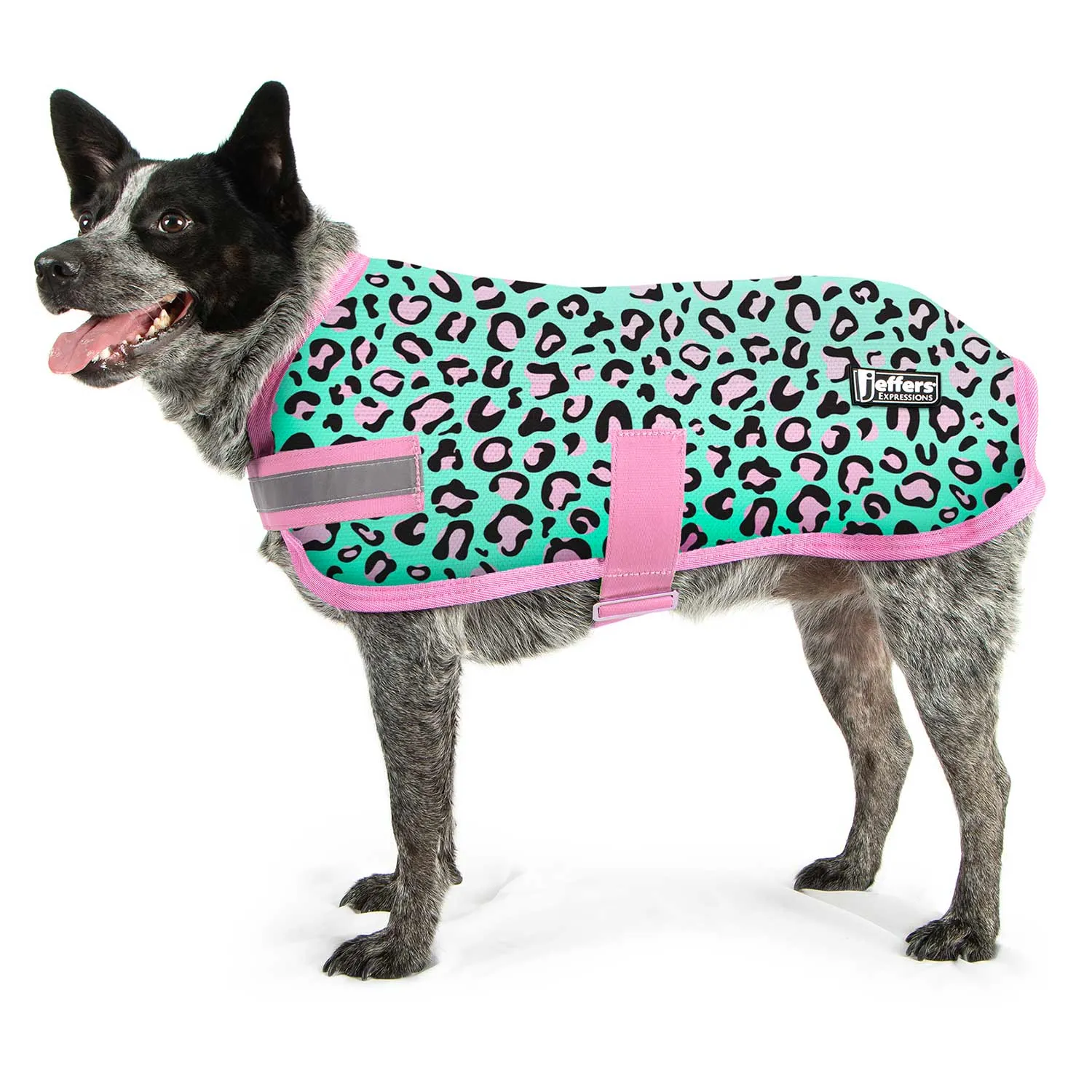 In Stock Now! Jeffers Expression Dog Coat, Party Cheetah