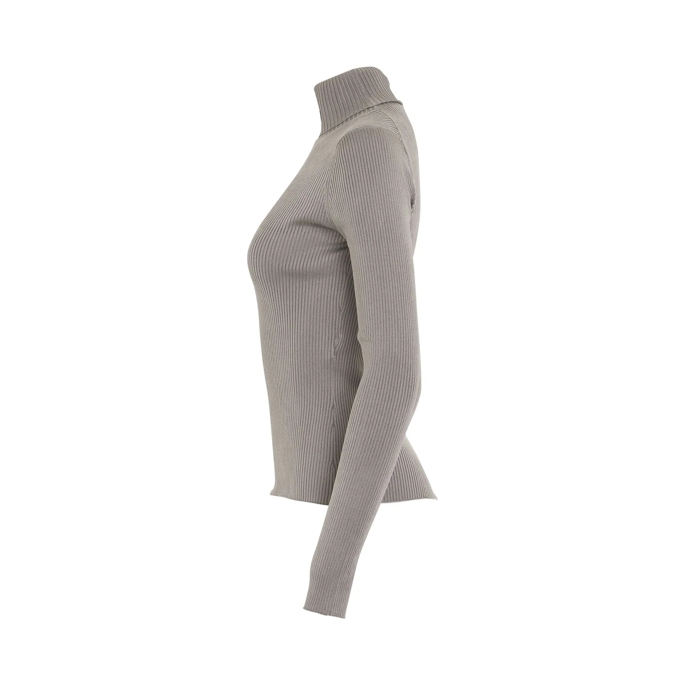 Long Sleeve Fitted Rib Knit Turtleneck in Grey