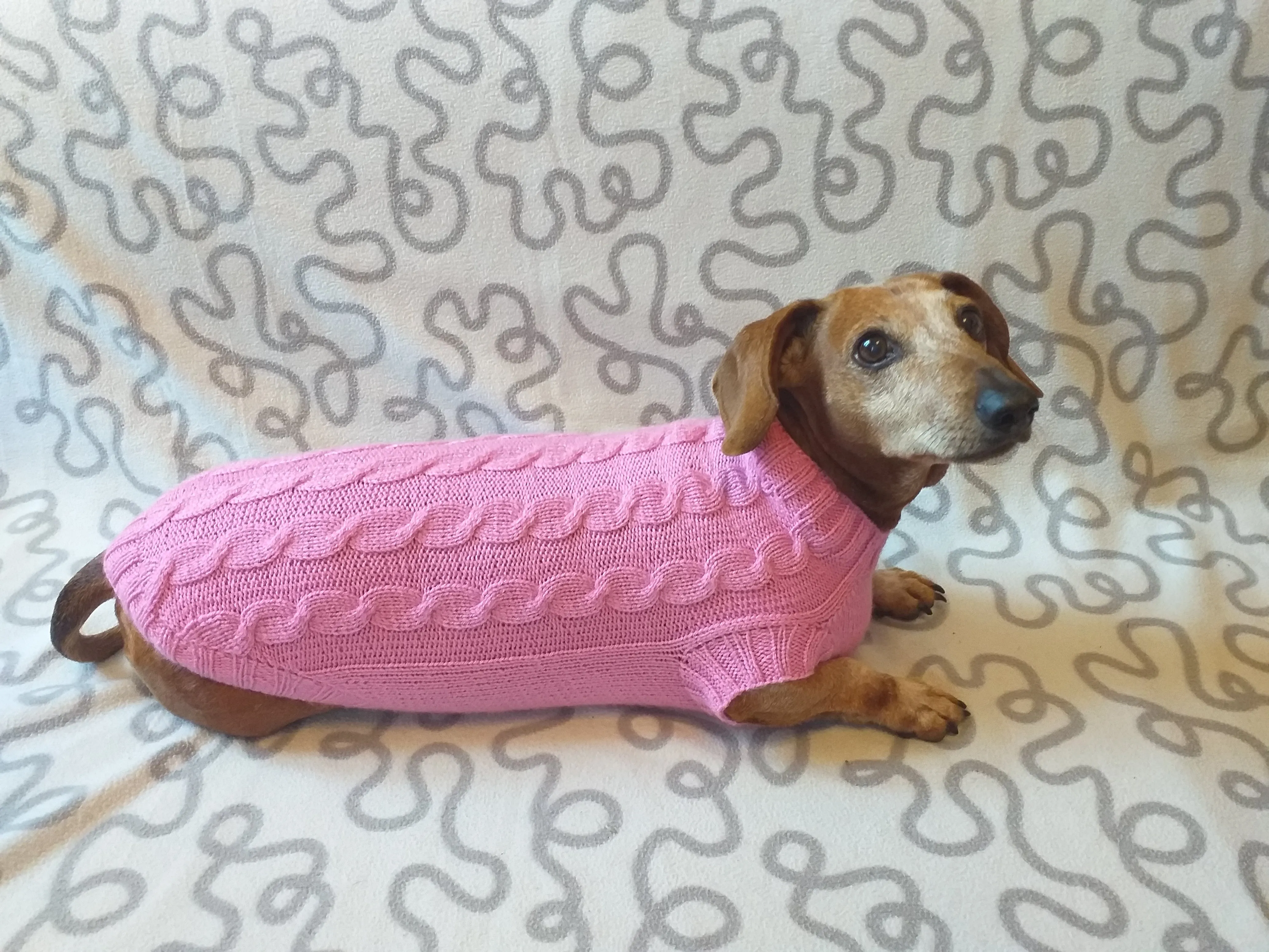 Pink knitted sweater for small dog, clothes for dachshunds