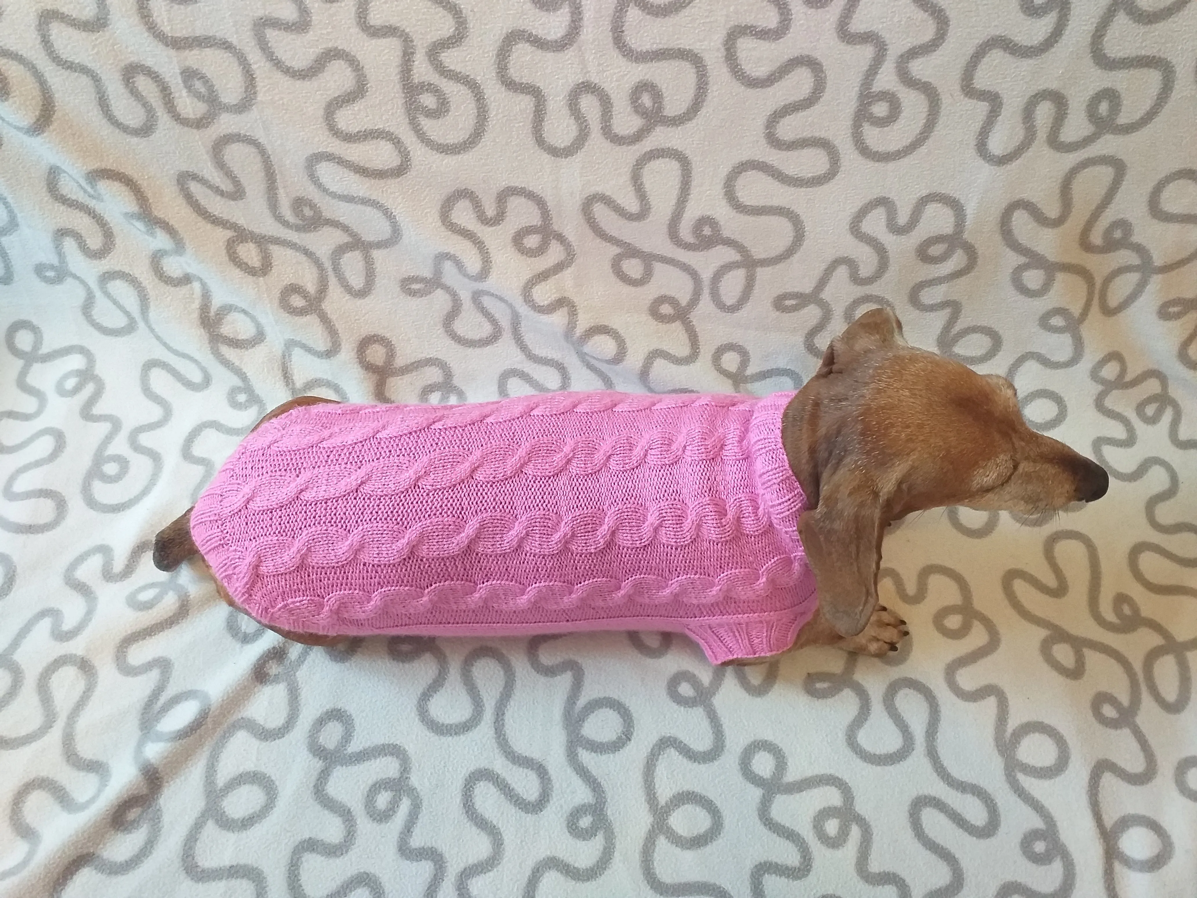 Pink knitted sweater for small dog, clothes for dachshunds