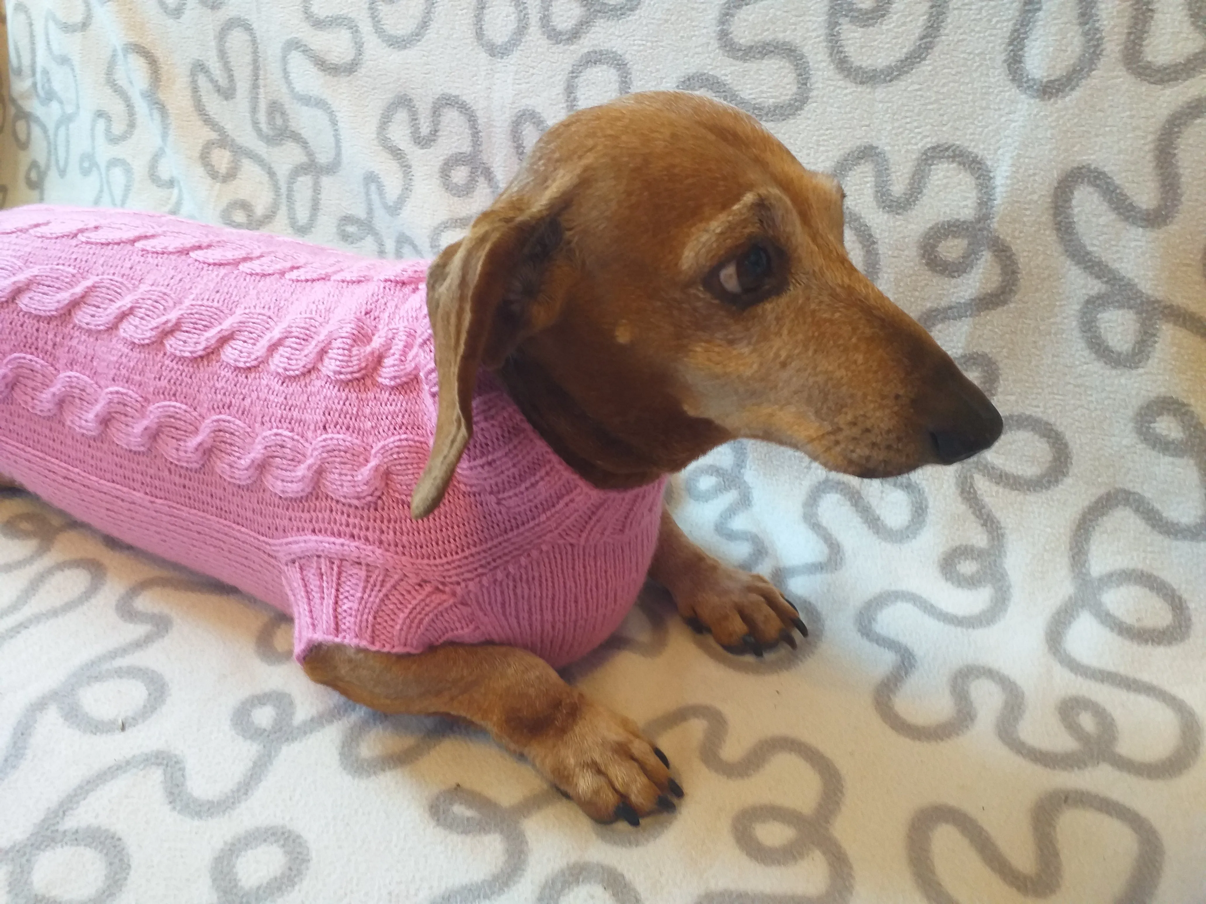 Pink knitted sweater for small dog, clothes for dachshunds