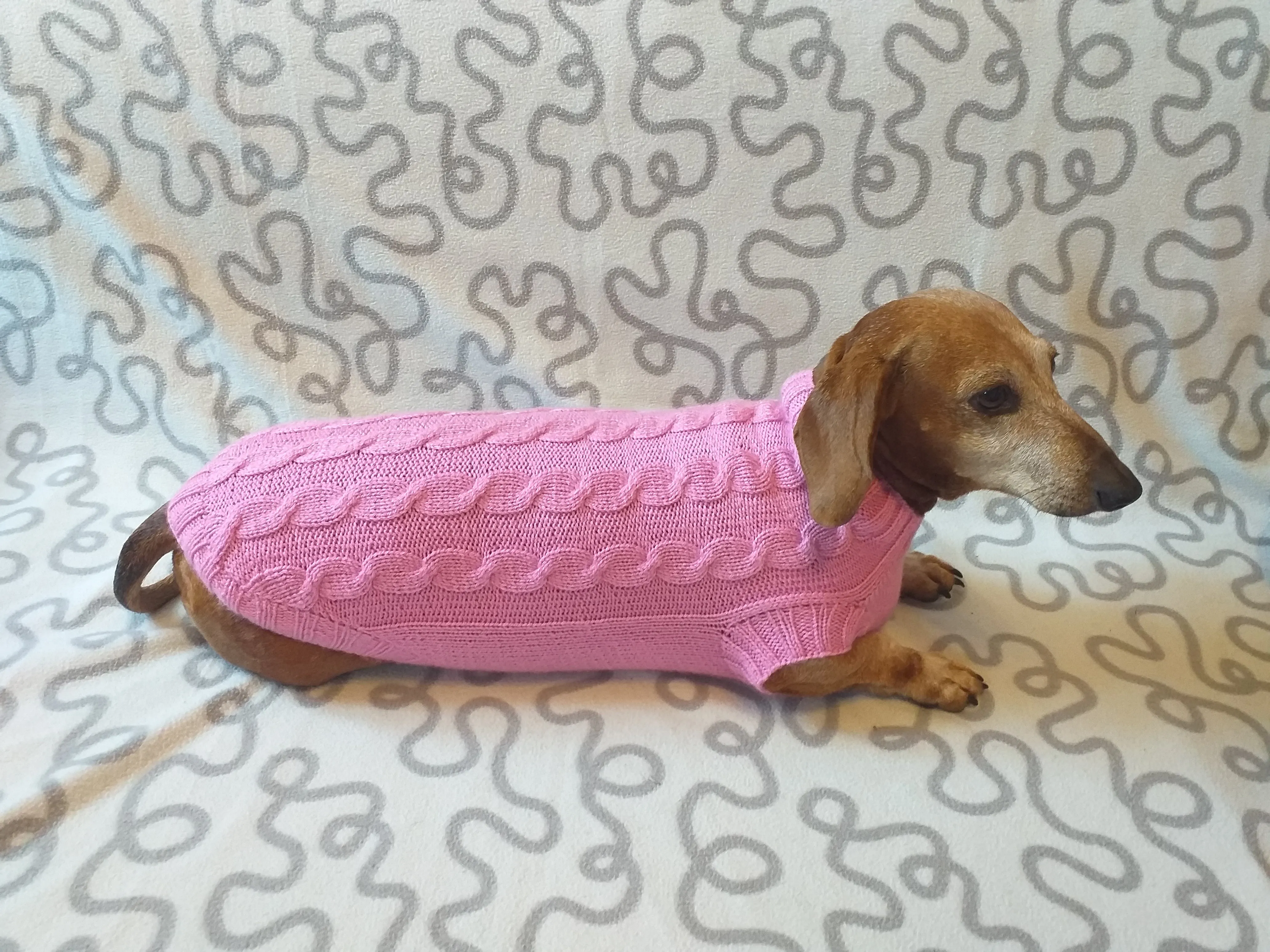 Pink knitted sweater for small dog, clothes for dachshunds