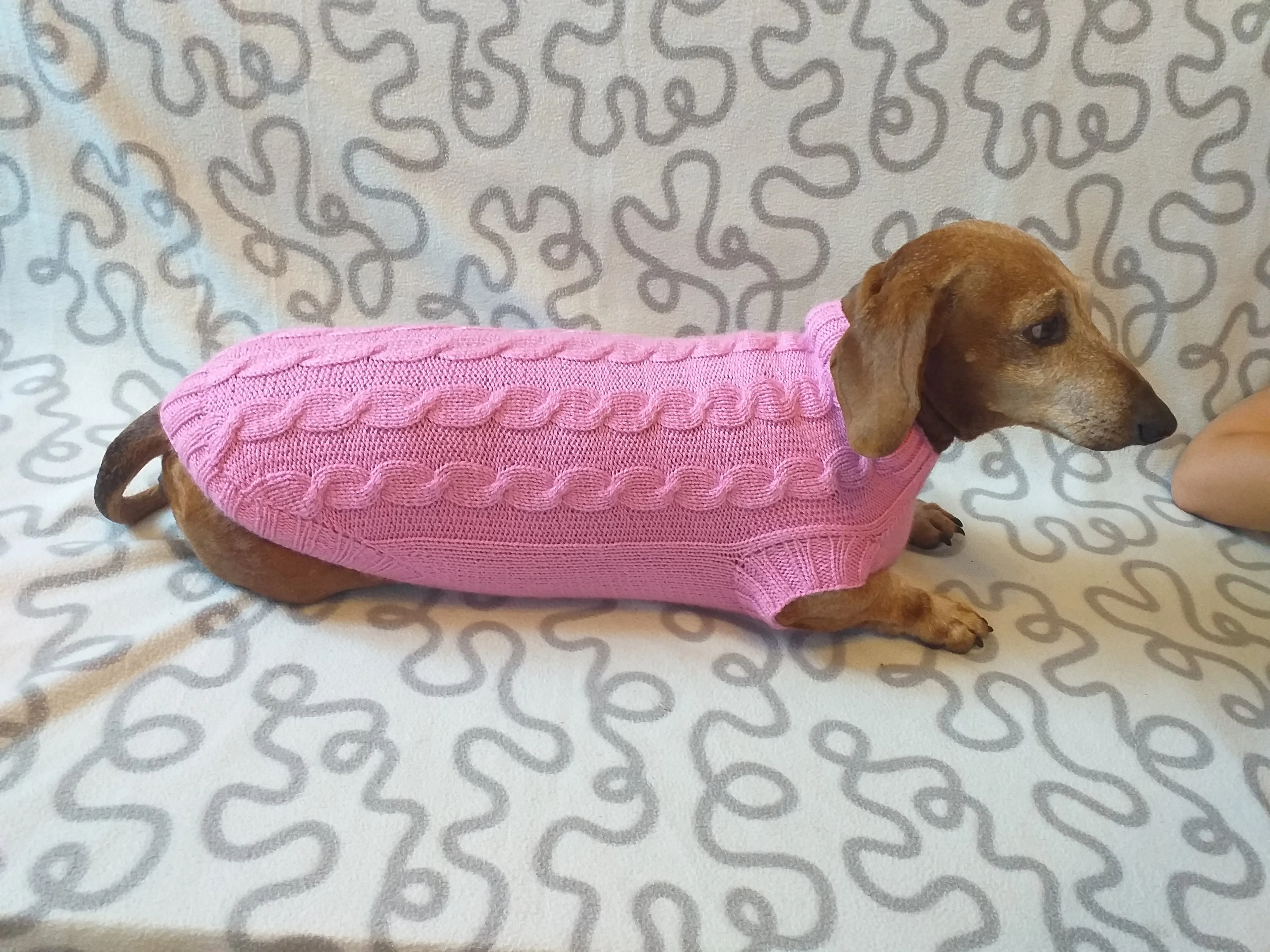 Pink knitted sweater for small dog, clothes for dachshunds