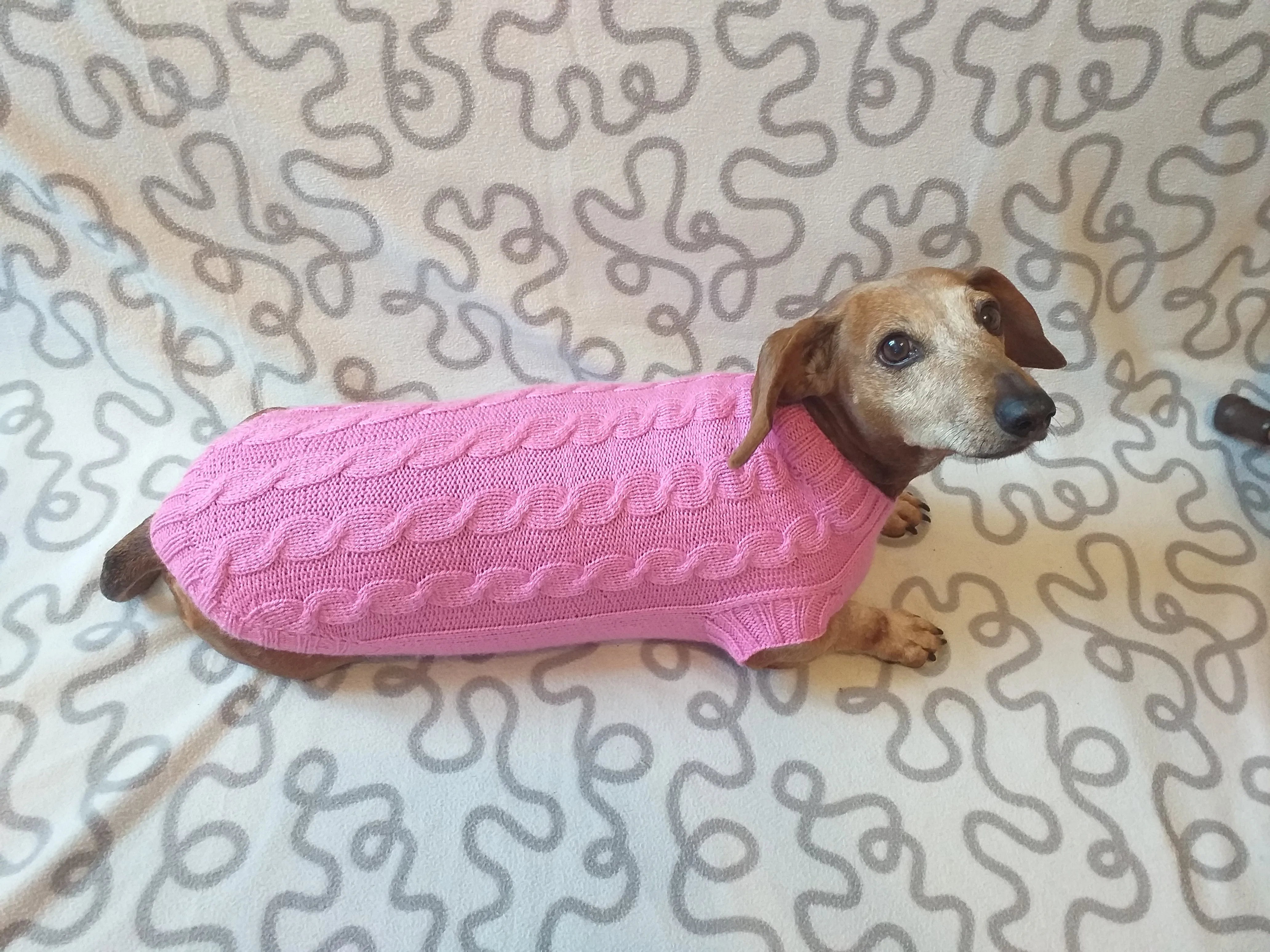 Pink knitted sweater for small dog, clothes for dachshunds