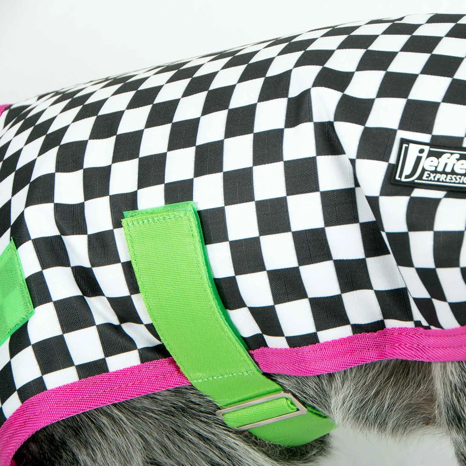 PRE-SALE! Jeffers Expression Dog Coat, Skater Pup