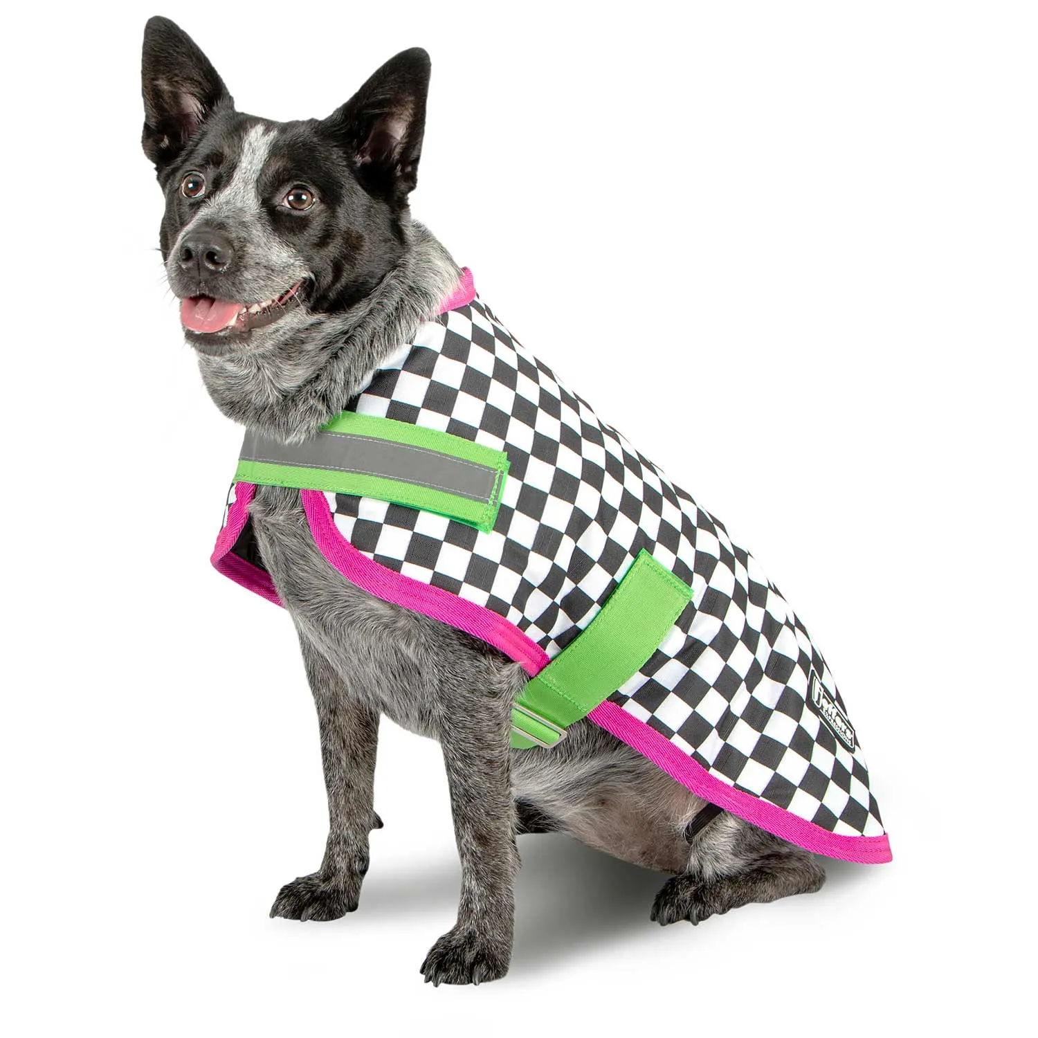 PRE-SALE! Jeffers Expression Dog Coat, Skater Pup