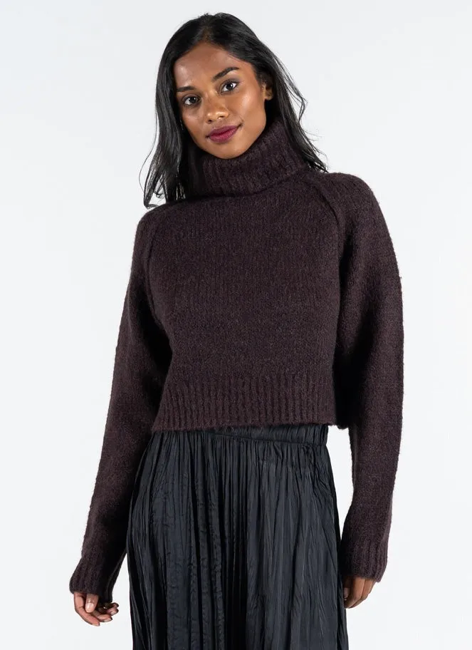 Rhea Cropped Turtleneck Sweater