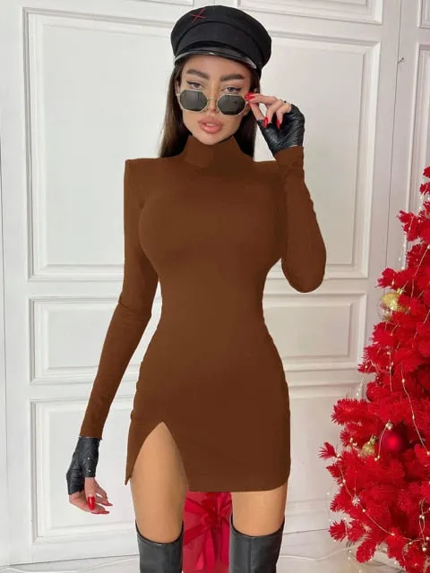 Trendy Long Sleeve Turtleneck Mini Dress